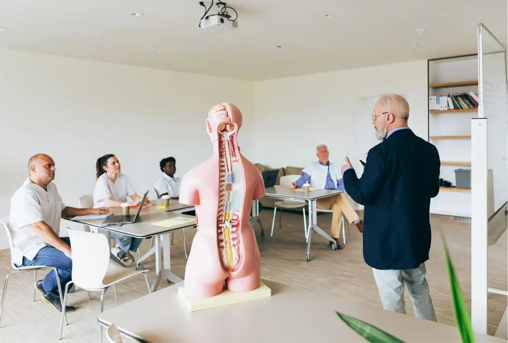 Séance pédagogique AERO-Ostéo illustrant la transmission des connaissances, le travail en groupe et l’approche structurée de la formation, mêlant bases théoriques, compréhension anatomique et réflexion clinique.